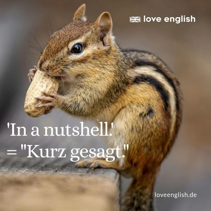 „In a nutshell“: Bedeutung &amp; Anwendung