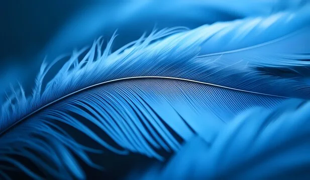 Behind the Blue Feather