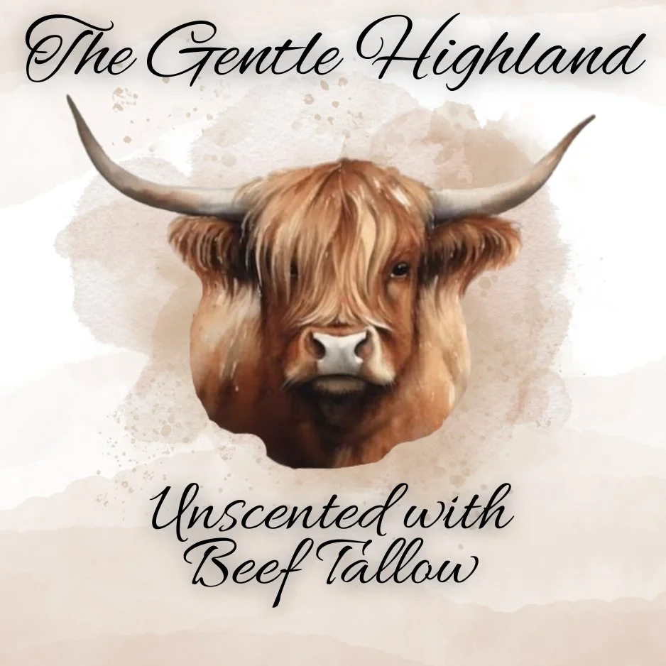 Gentle Highland.jpg