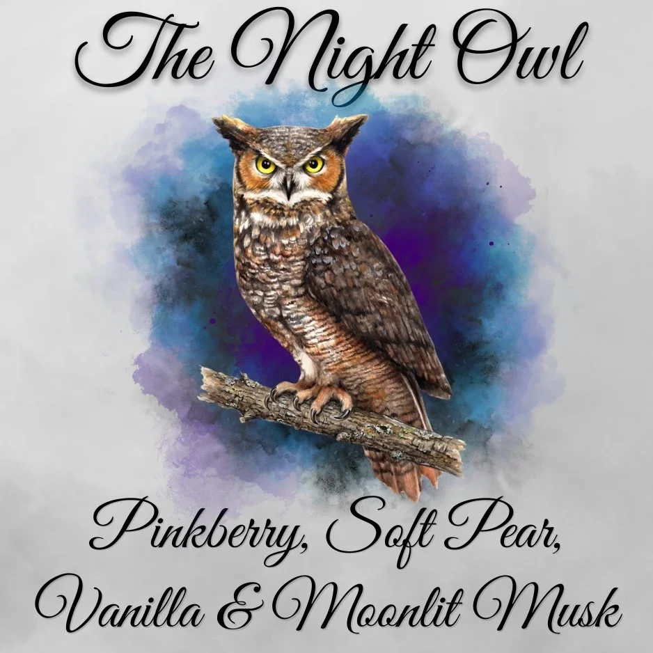 Night Owl.jpg