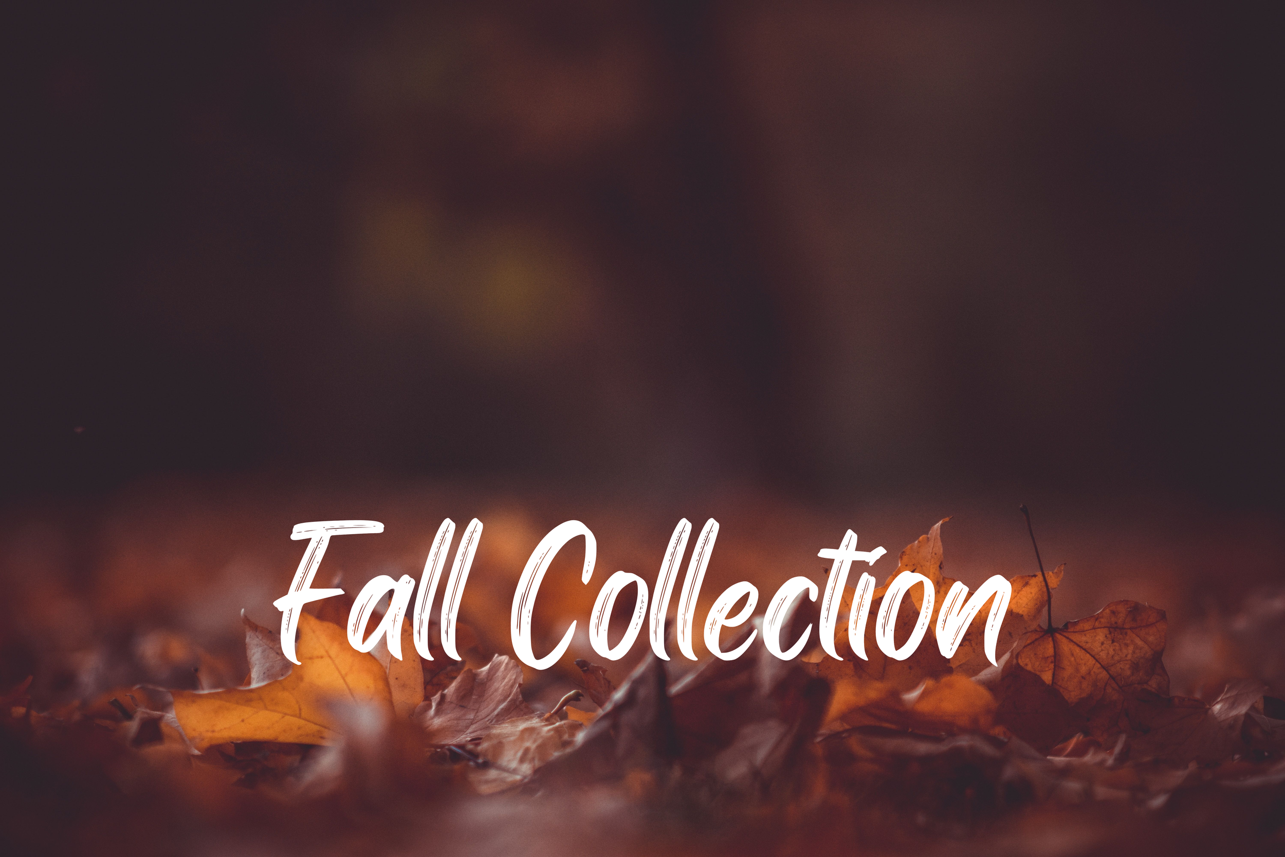 Fall Collection