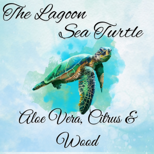 Lagoon Sea Turtle.png