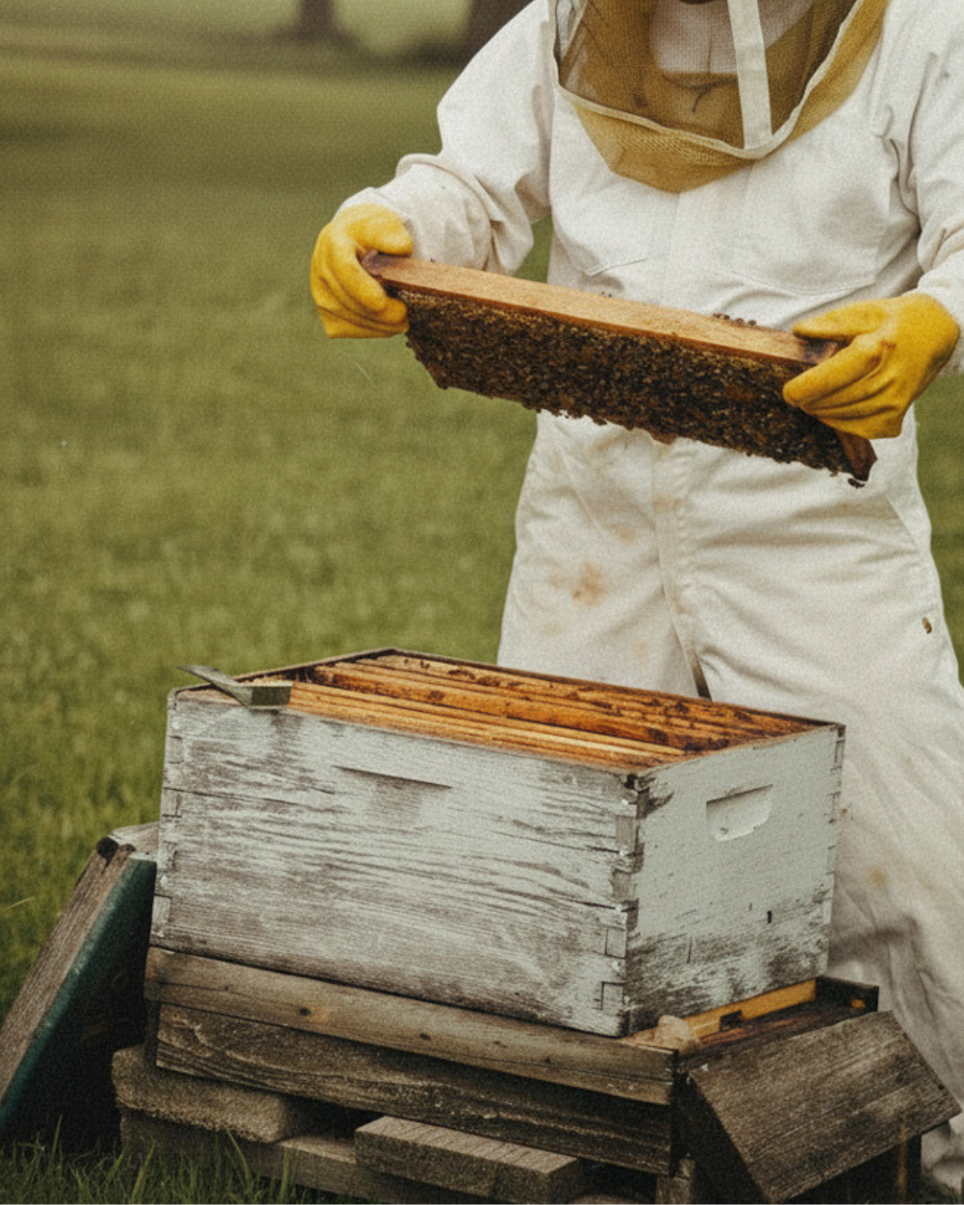 Honey on Main Vendor Fee