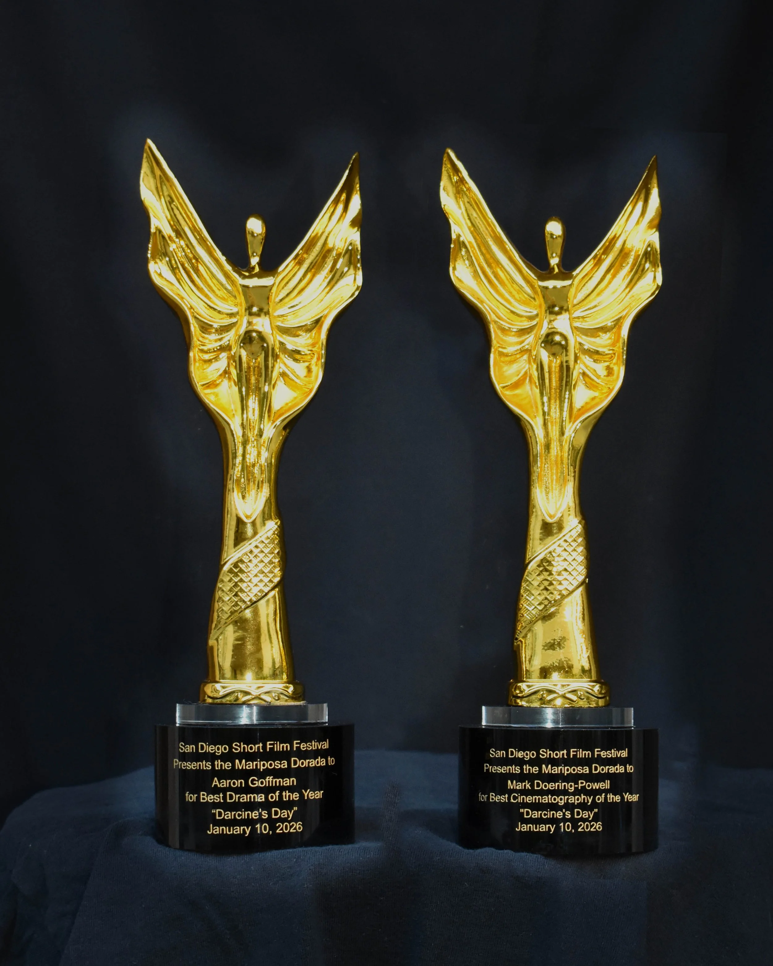 Winner - Best Drama Of The Year - Winner - Best Cinematography Of The Year - Mark Doering-Powell, ASC - San Diego Short Film Festival
