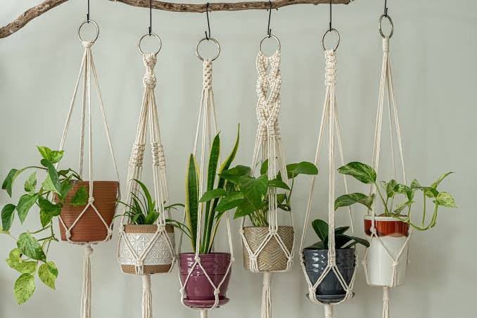 Macrame Hanger with potted plant