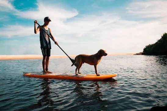 paddleboard.jpg