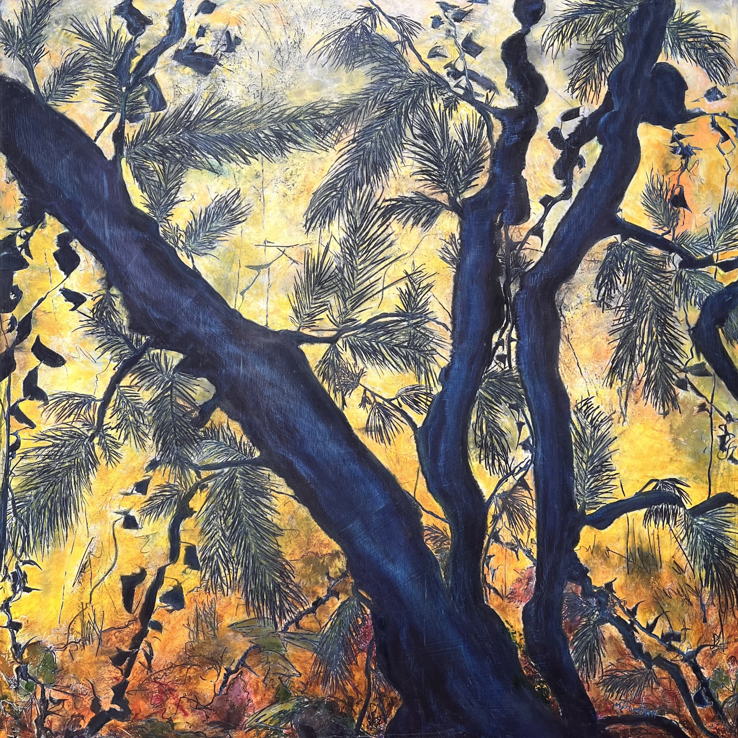 Whispers in Twilight  30” x 30”  $1250