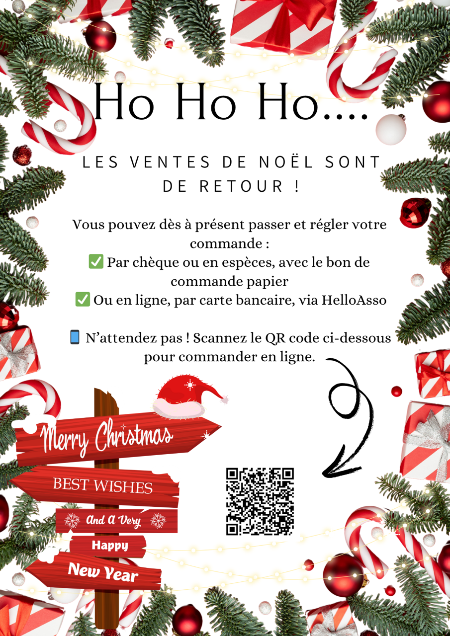 village-noel-ecole-vincent-serre-tassin-la-demi-lune.png