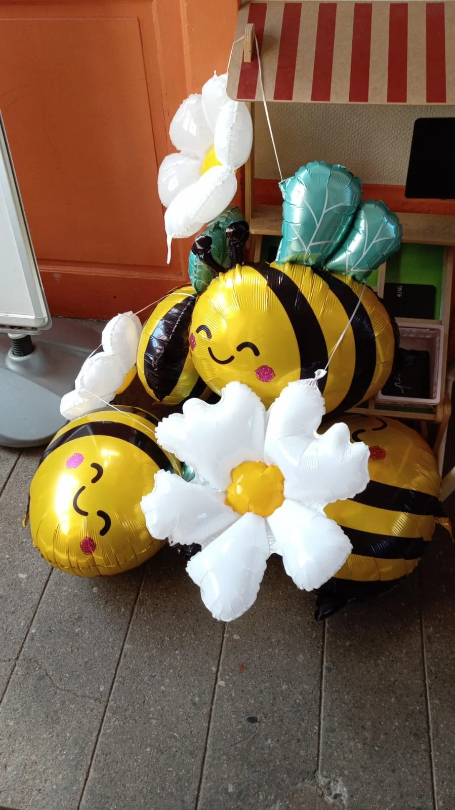 printemps-ecole-vincent-serre-tassin-fete.JPG