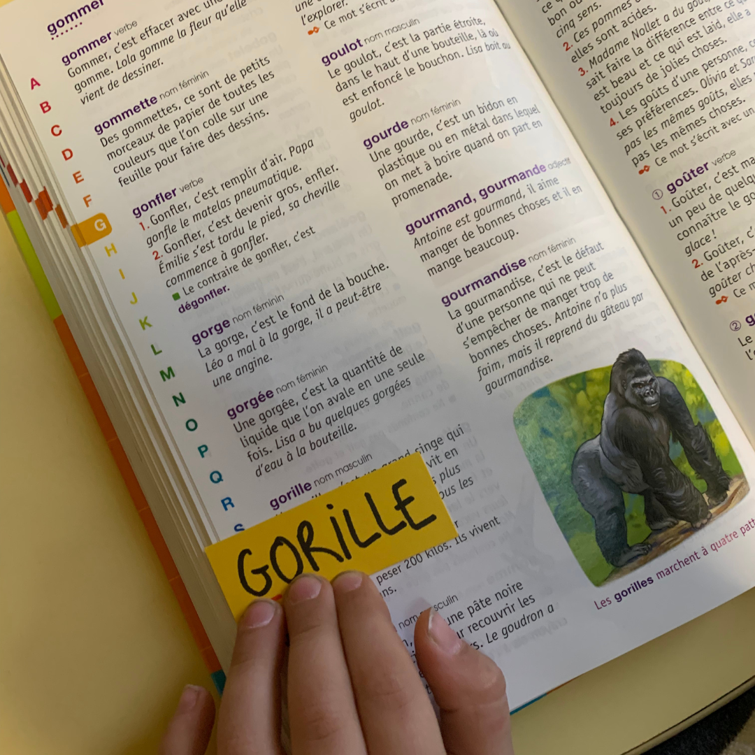recherch-dictionnaire-enfant.png
