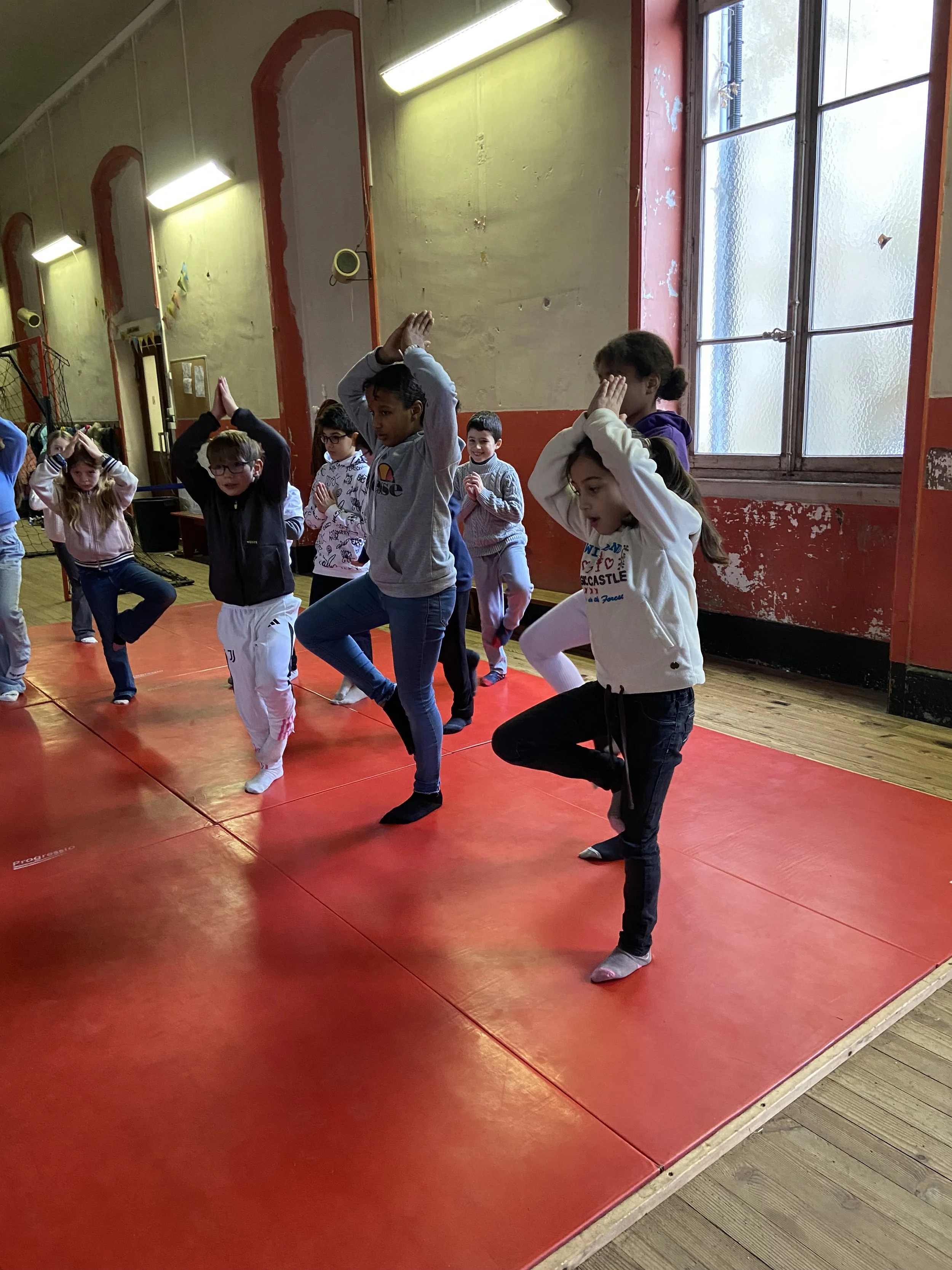 yoga-ecole-vincent-serre-tassin-la-demi-lune.jpg