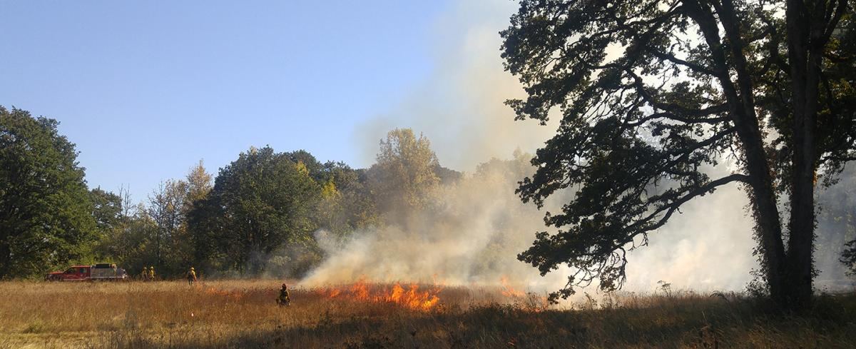 Wildfire Smoke in Oregon: How to Improve the Air Inside Your Home