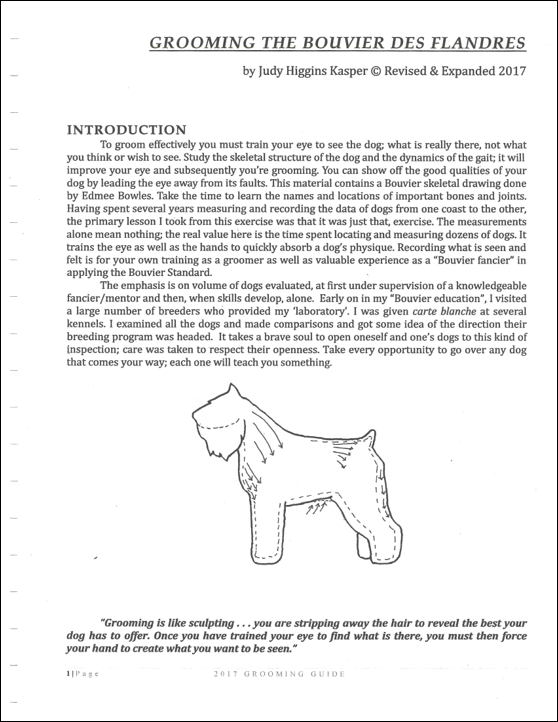 PAge 2.png