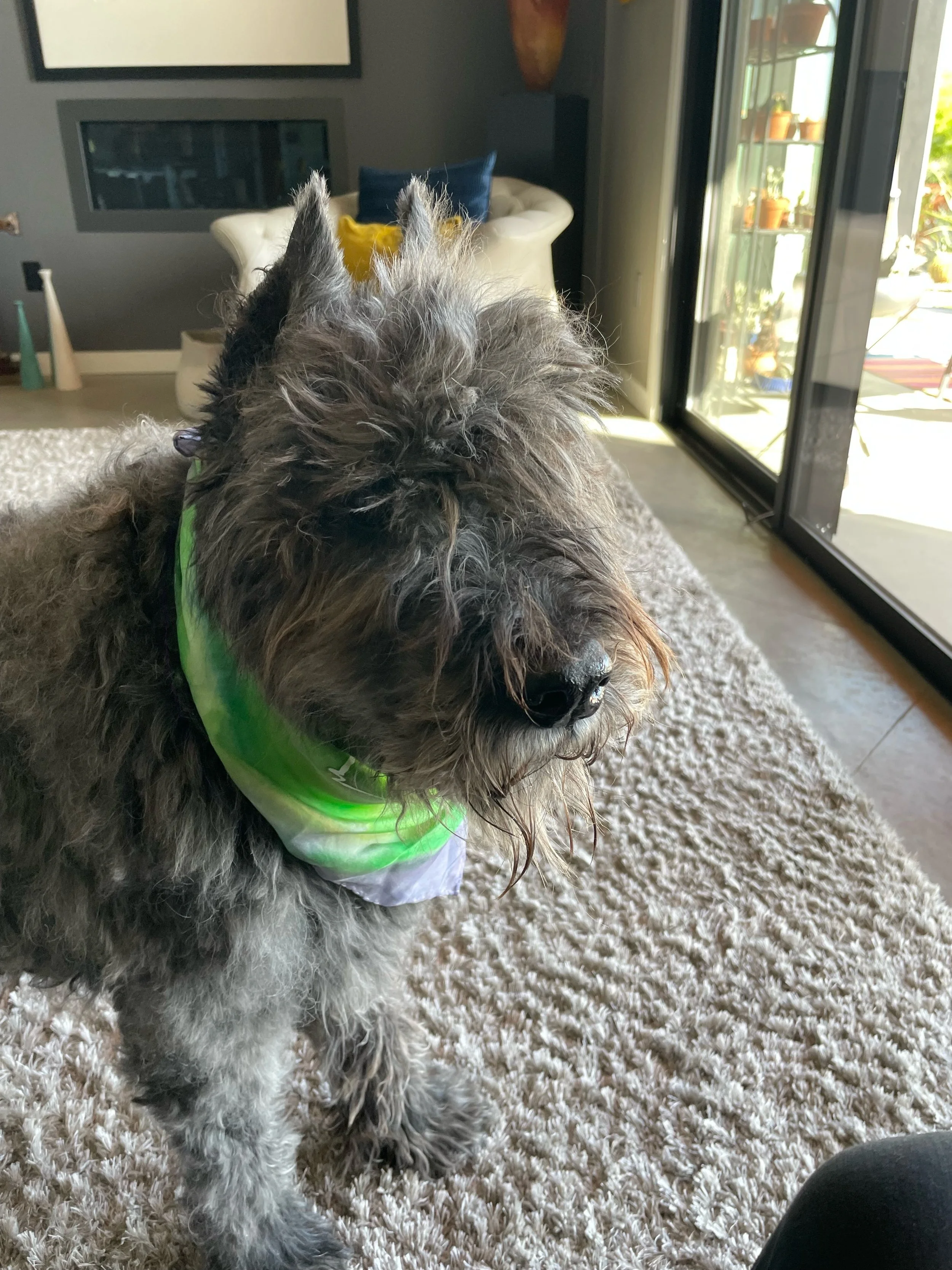 Olive Macklin  June 2023