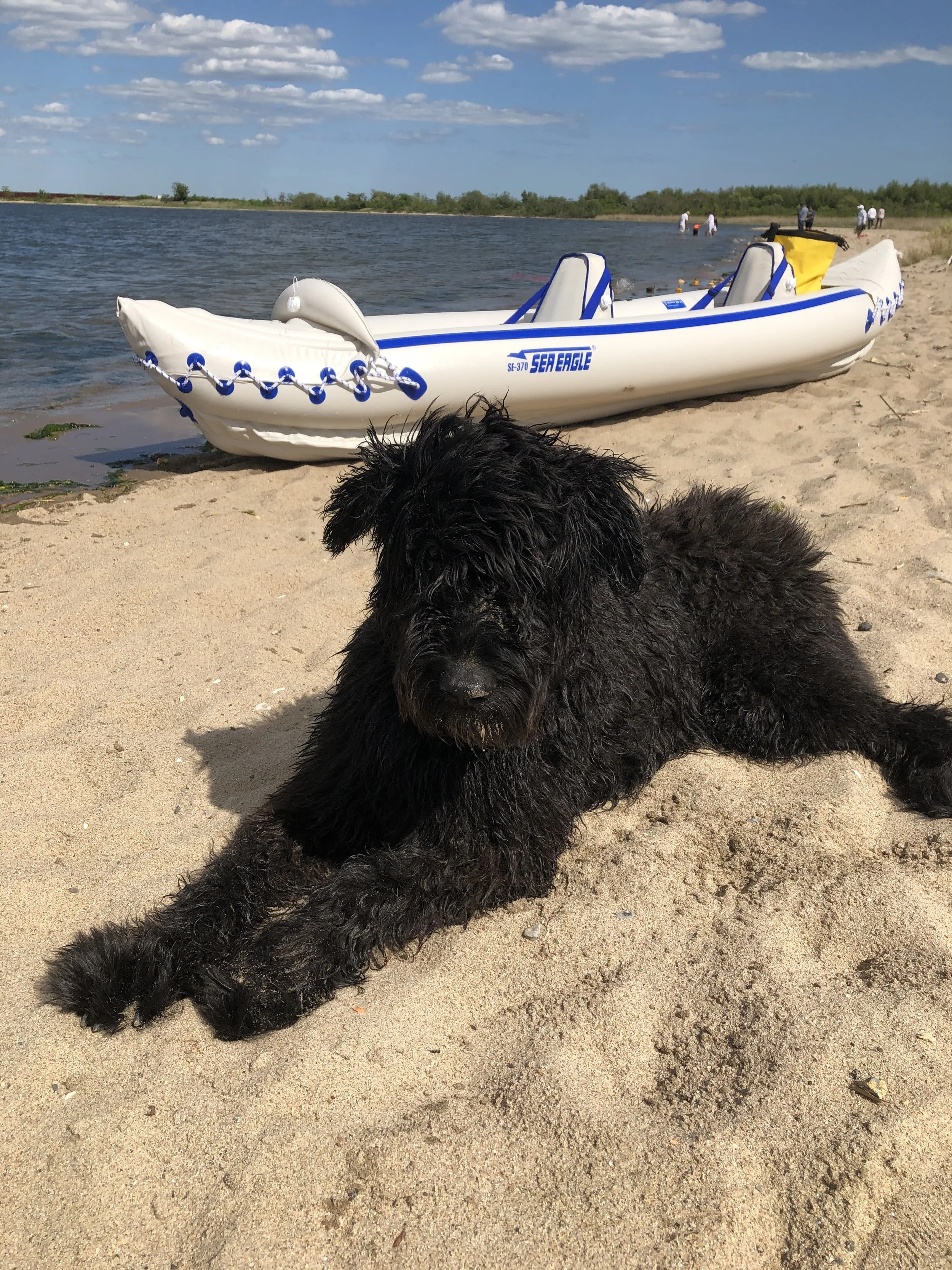 November 2024 - Neila