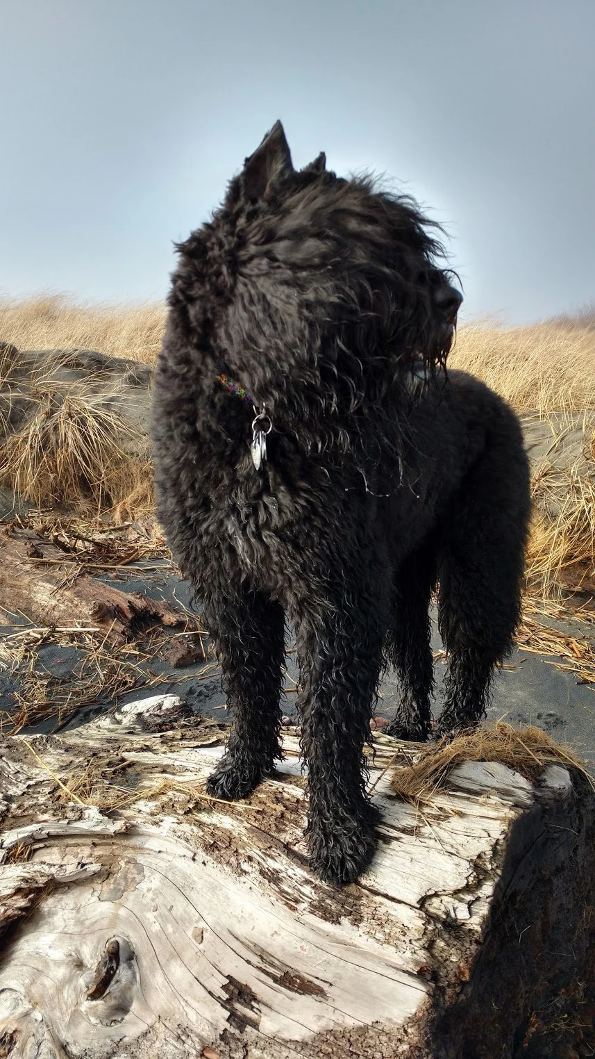 September 2024 Harrison