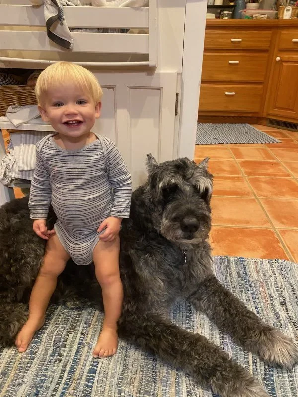 Patrick Henn - January 2024