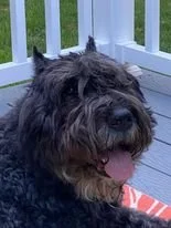 Zen Newman - February 2024