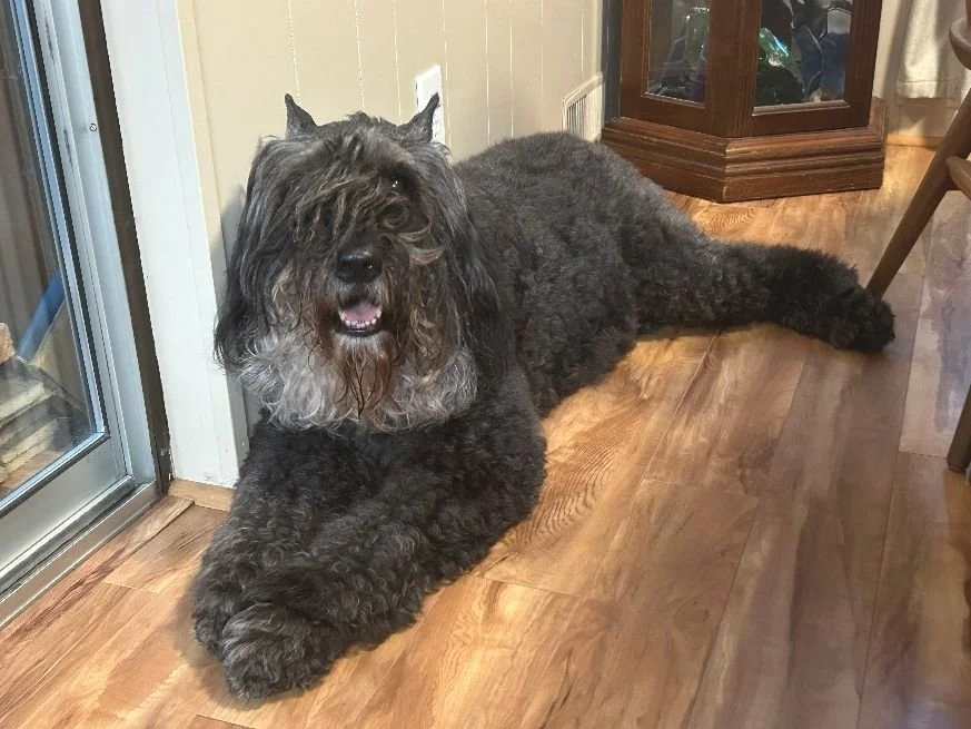 Fiona - October 2024