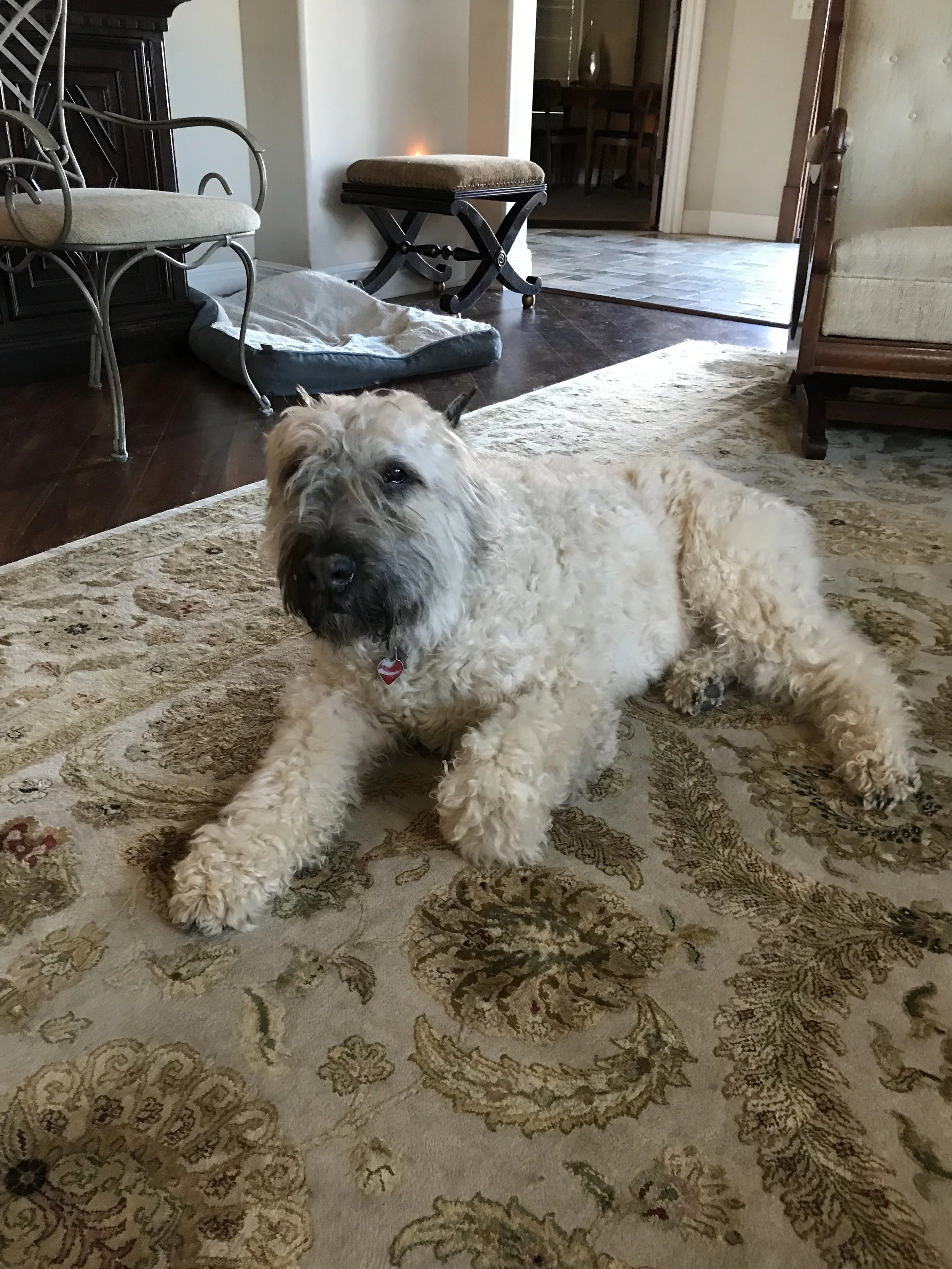 Charlie Hickman - April 2024