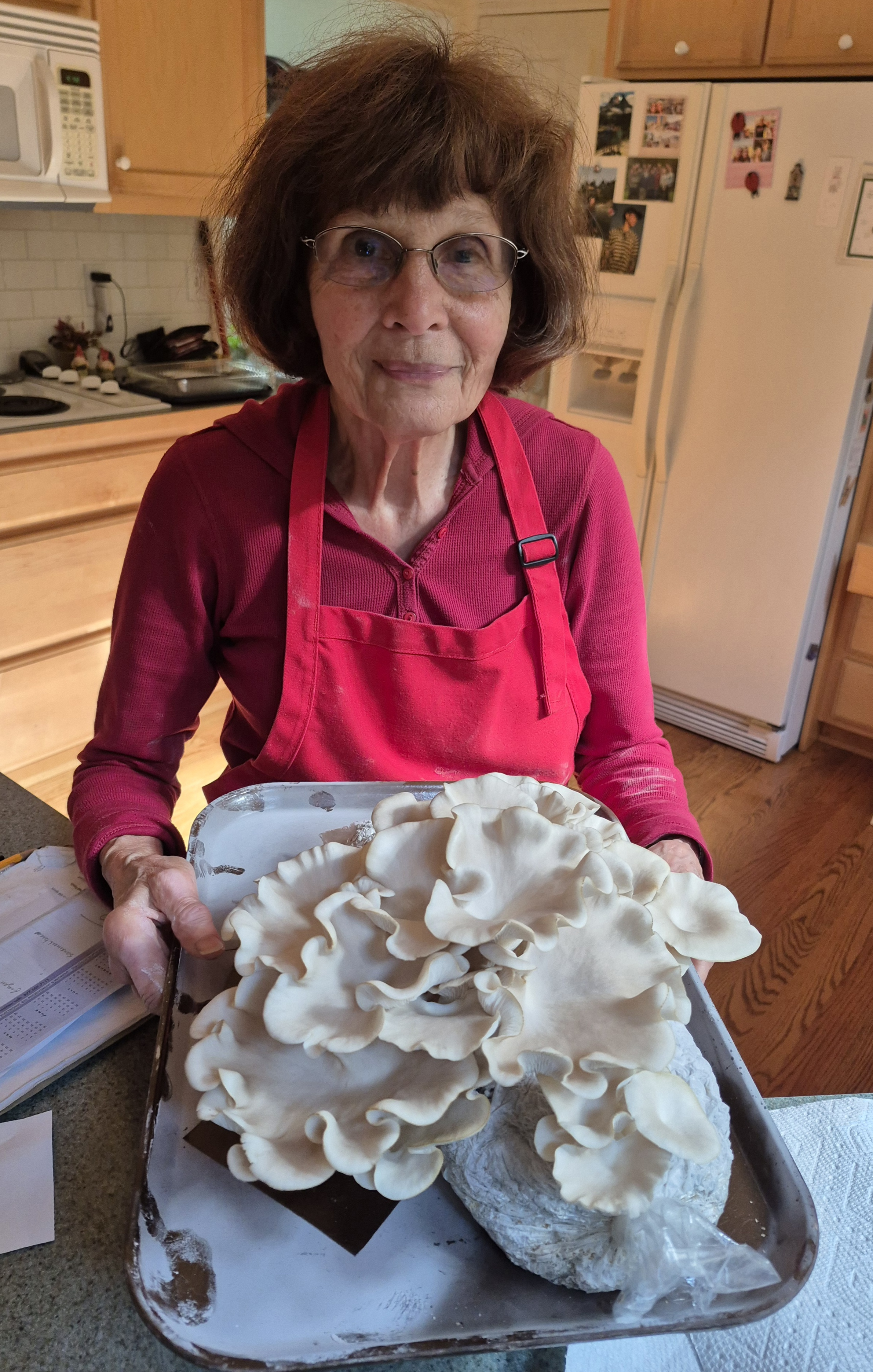 Mushroom Workshop for Adults