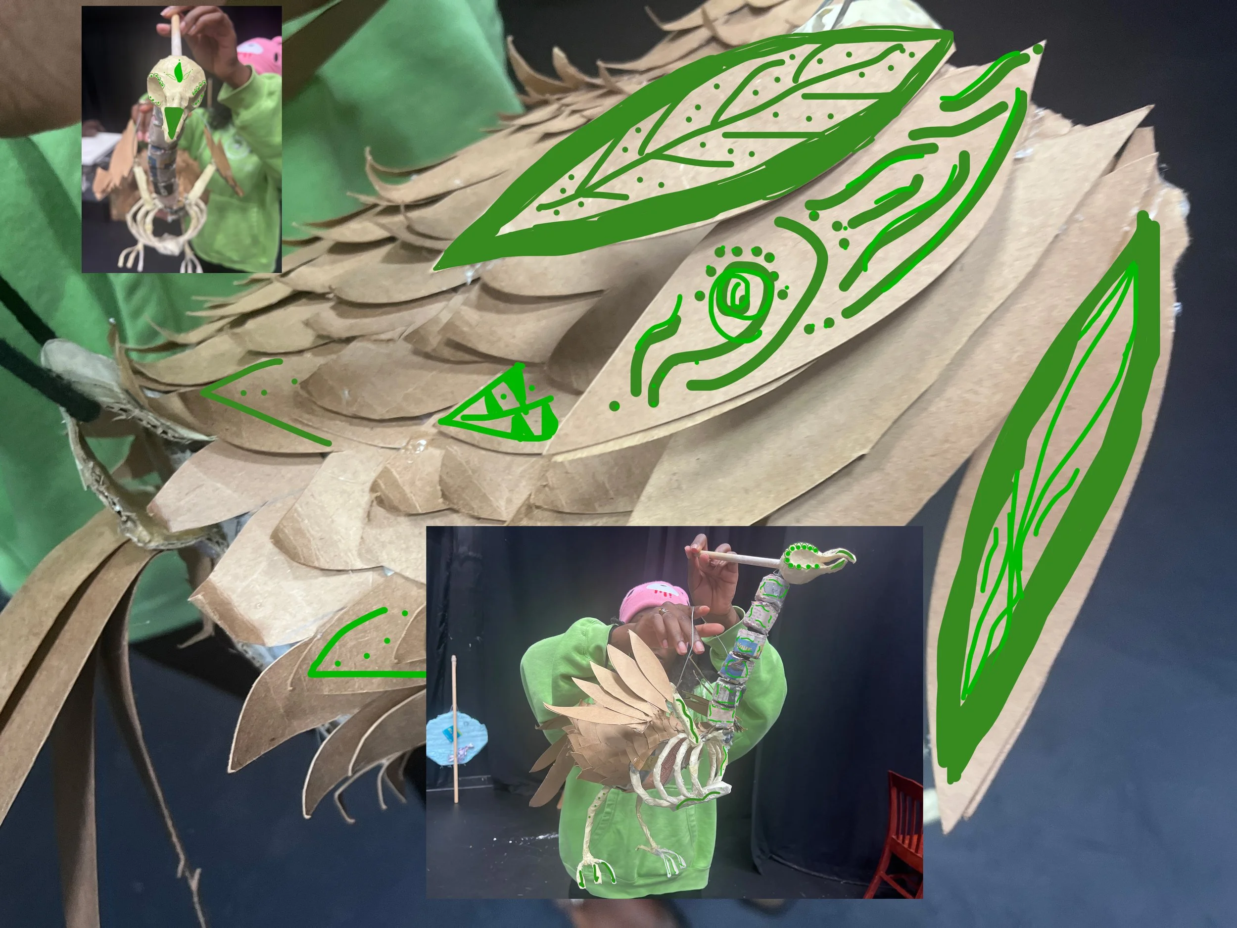bird.jpg