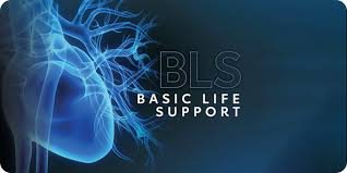 Basic Life Support (Healthcare)