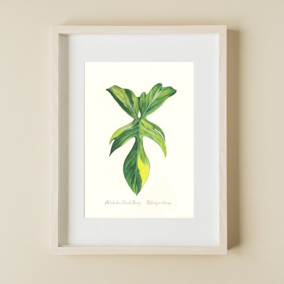 Ballantyne+Haines+-+Fine+Art+Print+-+Philodendron+Florida+Beauty.jpg