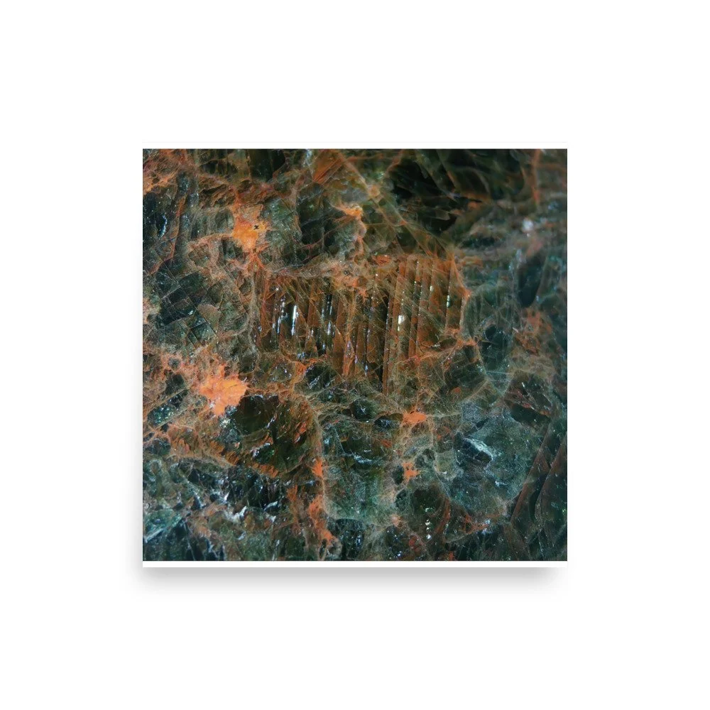 enhanced-matte-paper-poster-(in)-front-6a2874e555cc2.jpg