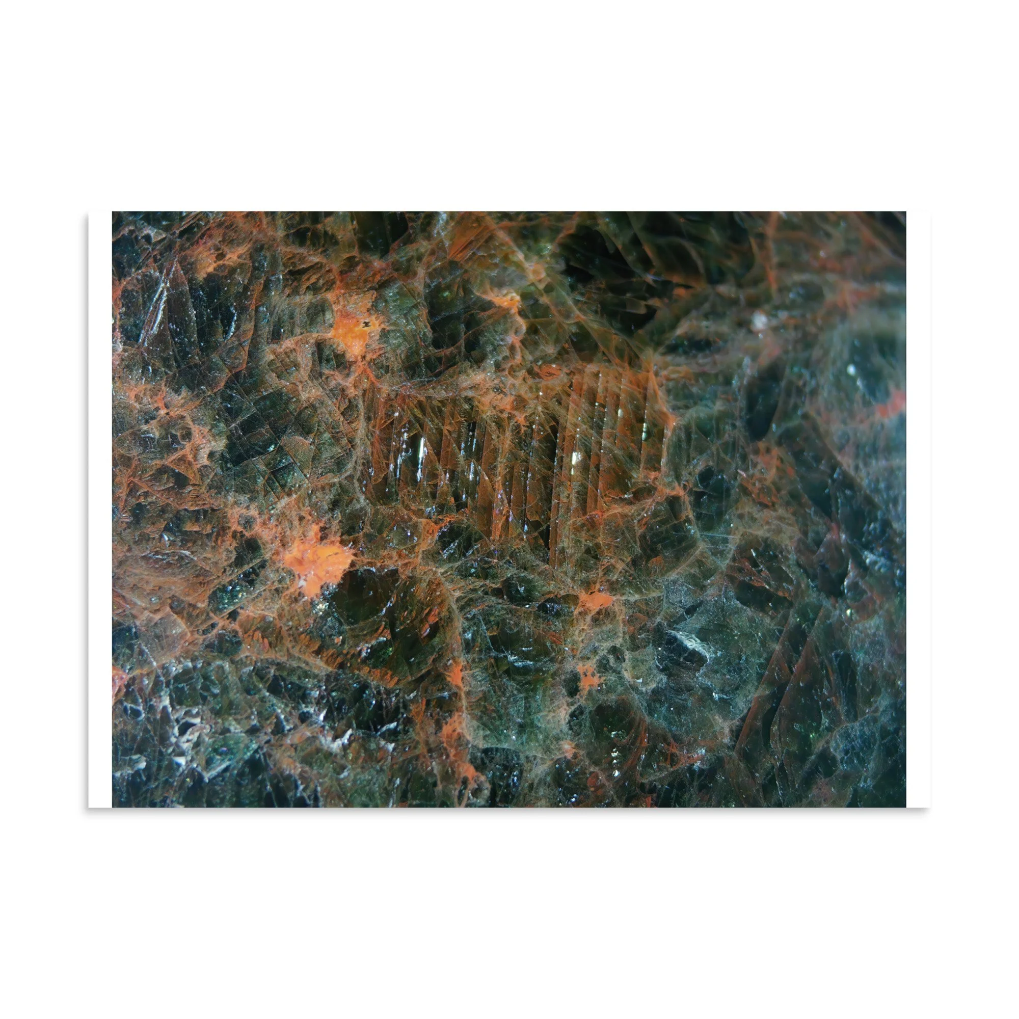 enhanced-matte-paper-poster-(in)-11.69x16.54-front-6a2874e5666b6.jpg