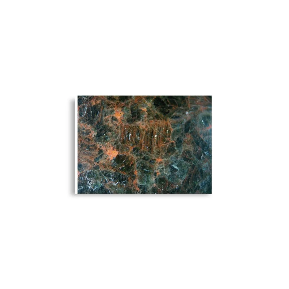 enhanced-matte-paper-poster-(in)-a2-(16.5x23.3)-front-6a2874e55e4dc.jpg