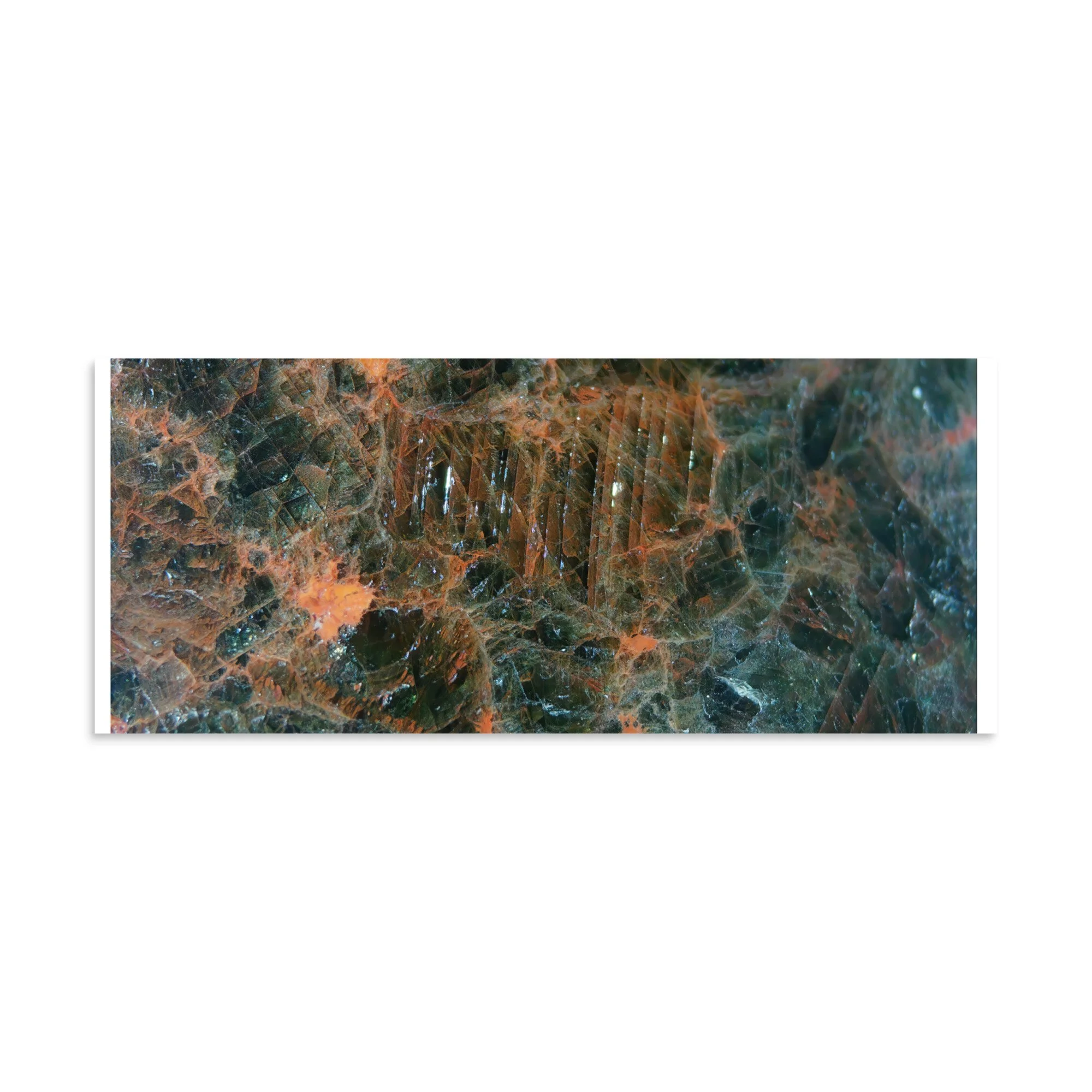 enhanced-matte-paper-poster-(in)-10x24-front-6a2874e55fef5.jpg
