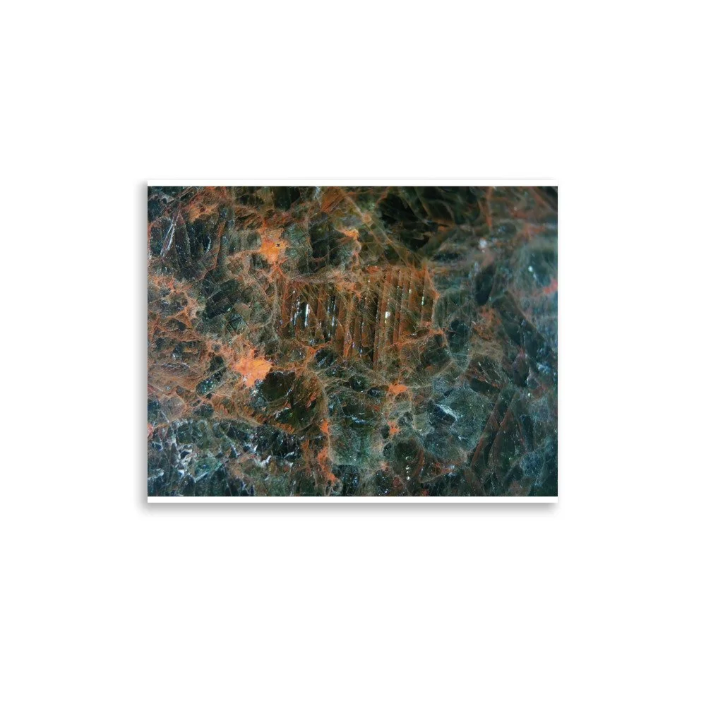 enhanced-matte-paper-poster-(in)-11x14-front-6a2874e55b318.jpg