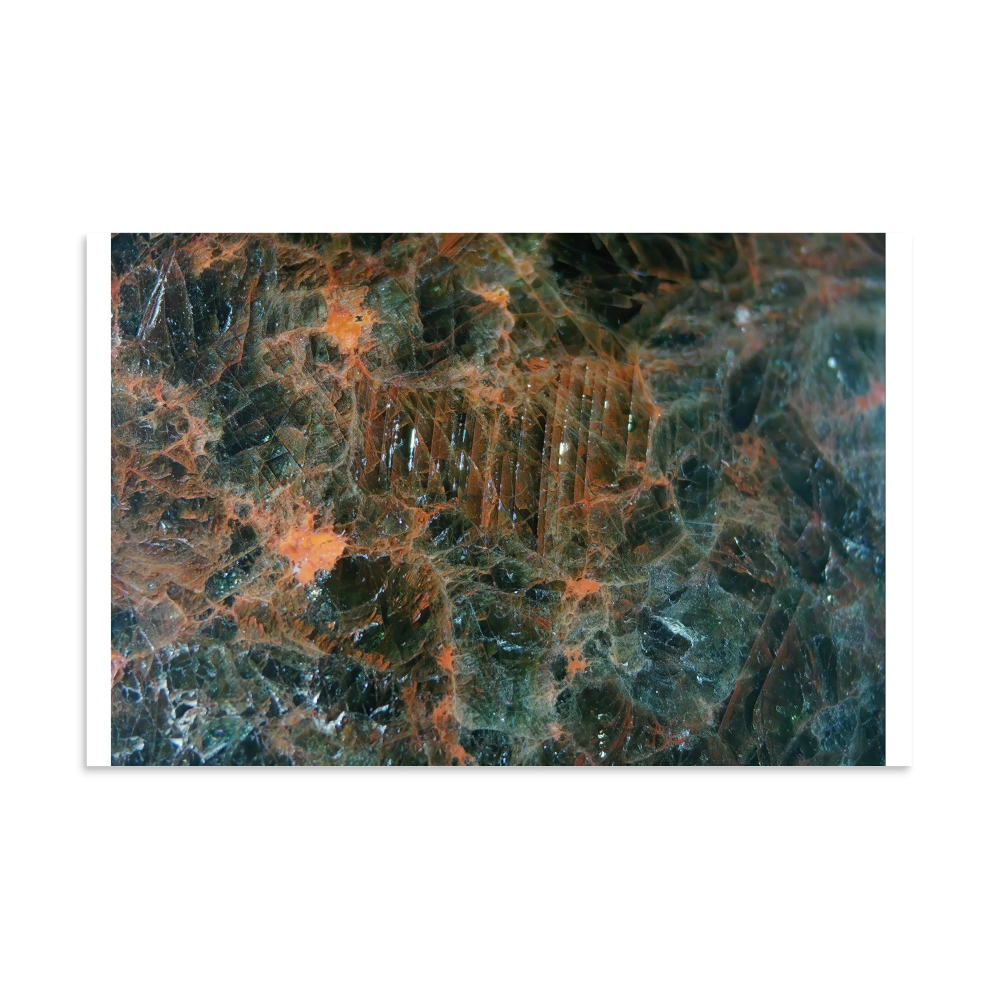 enhanced-matte-paper-poster-(in)-11x17-front-6a2874e560c3c.jpg