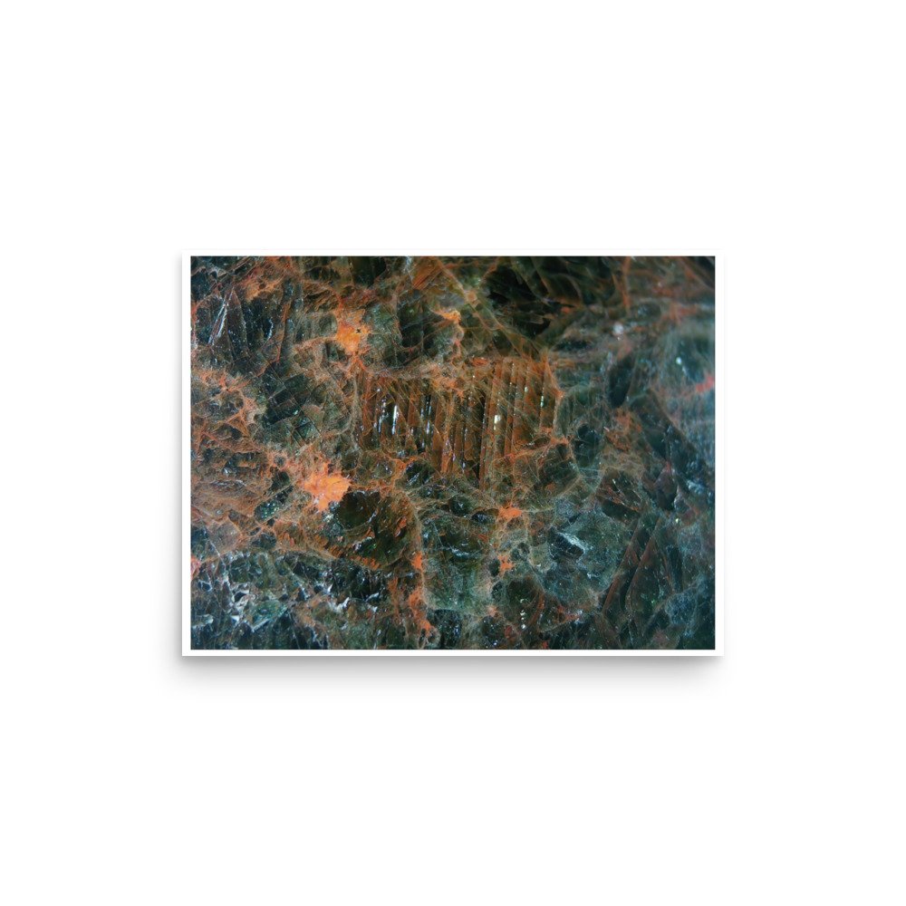 enhanced-matte-paper-poster-(in)-12x16-front-6a2874e5568e6.jpg