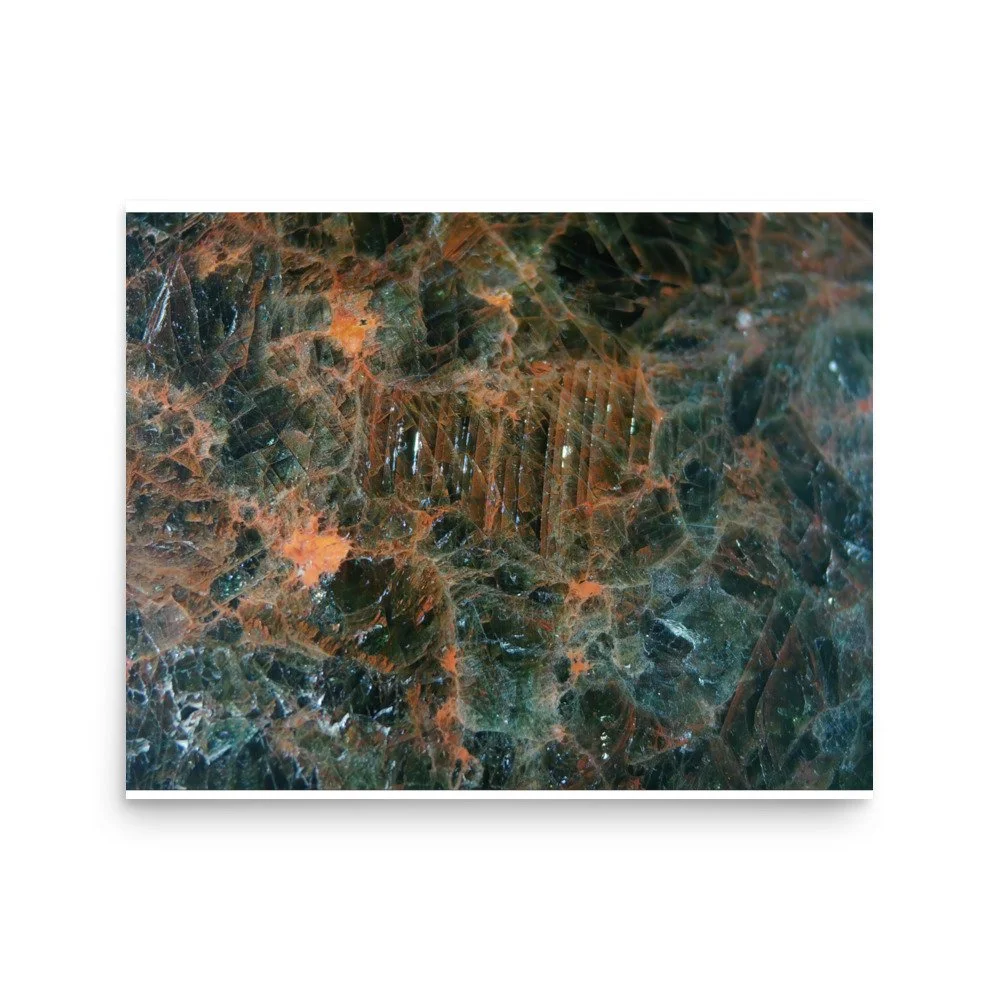 enhanced-matte-paper-poster-(in)-16x20-front-6a2874e5581f4.jpg