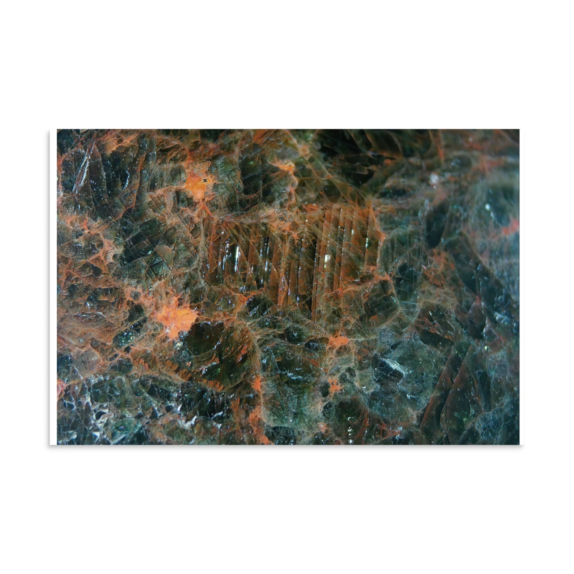 enhanced-matte-paper-poster-(in)-16x24-front-6a2874e56194c.jpg