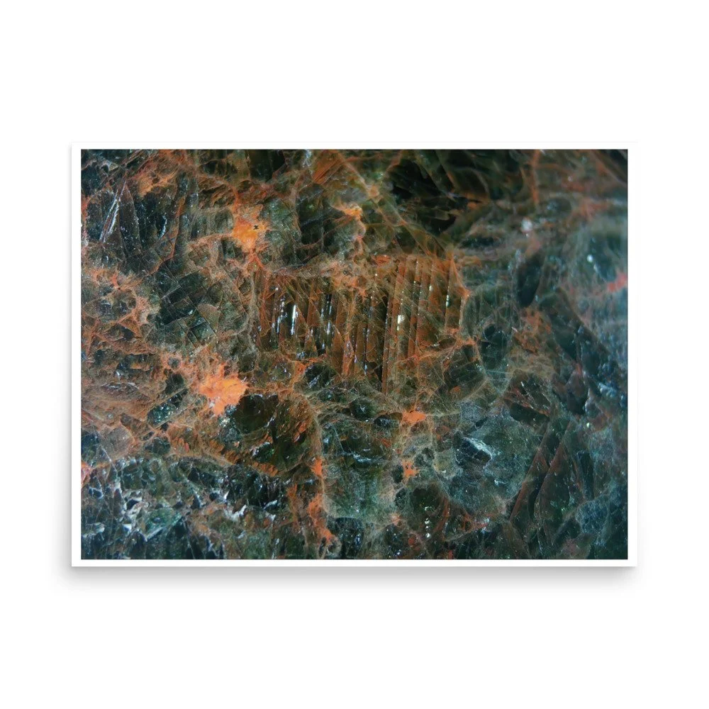 enhanced-matte-paper-poster-(in)-18x24-front-6a2874e558db9.jpg