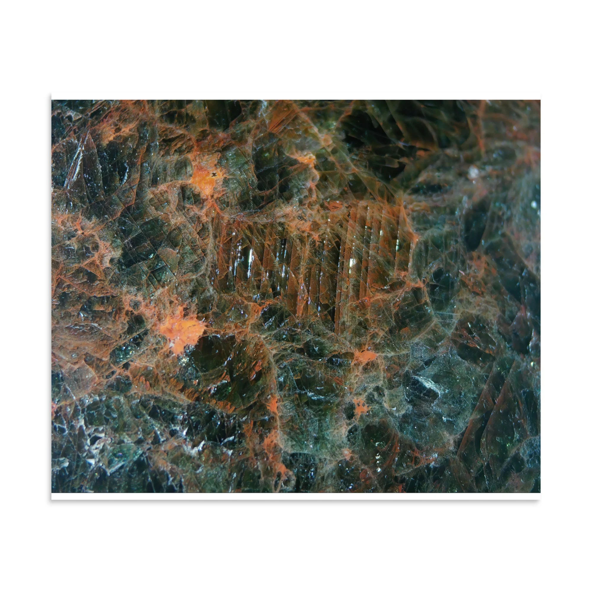 enhanced-matte-paper-poster-(in)-20x24-front-6a2874e56269f.jpg