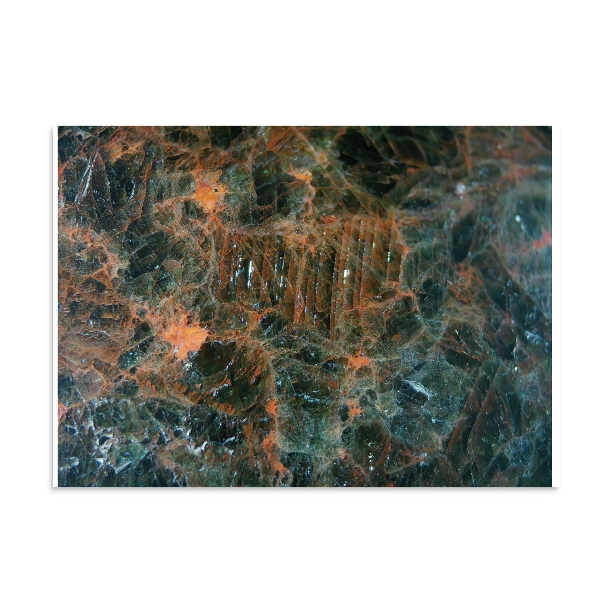 enhanced-matte-paper-poster-(in)-20x28-front-6a2874e563320.jpg
