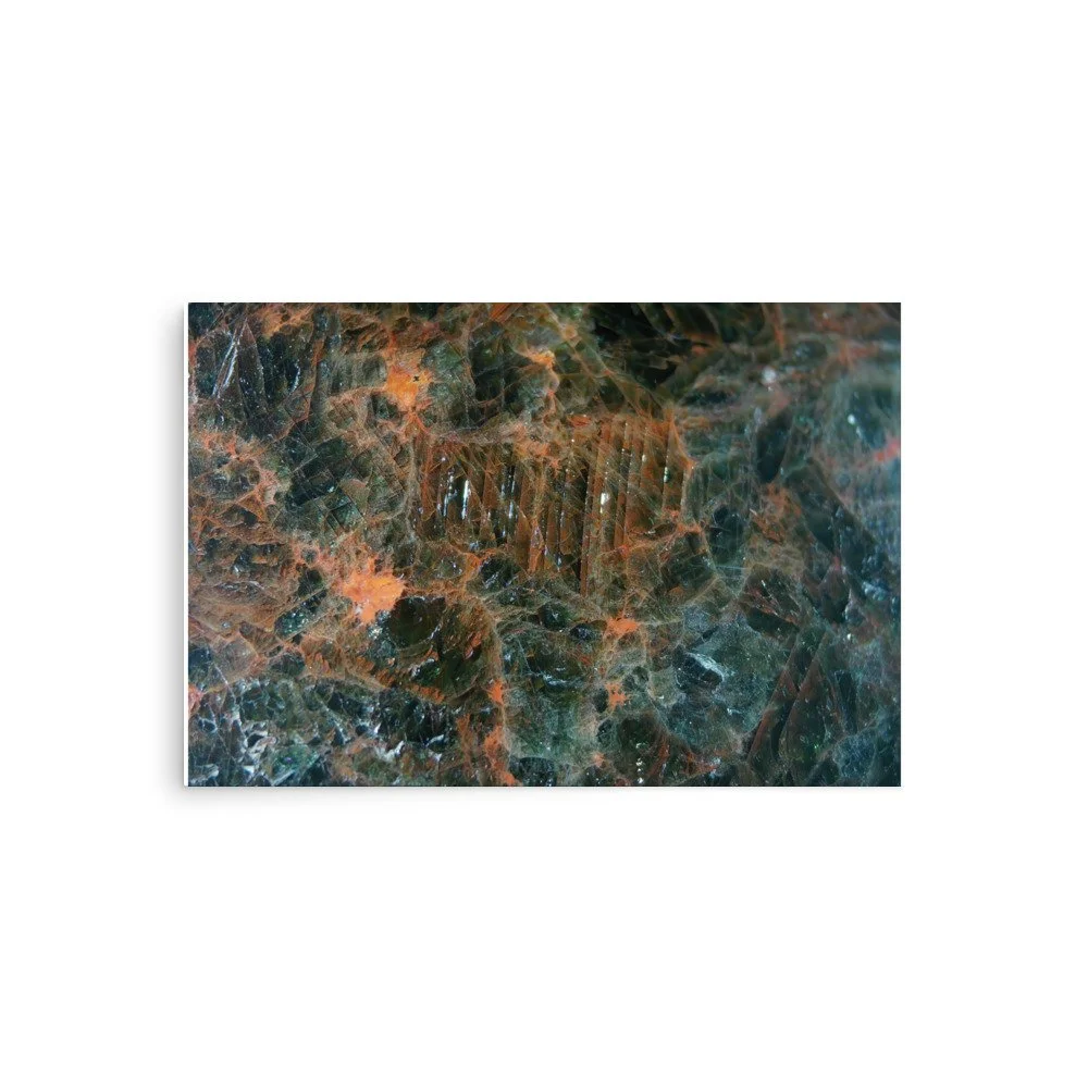 enhanced-matte-paper-poster-(in)-20x30-front-6a2874e55ccde.jpg