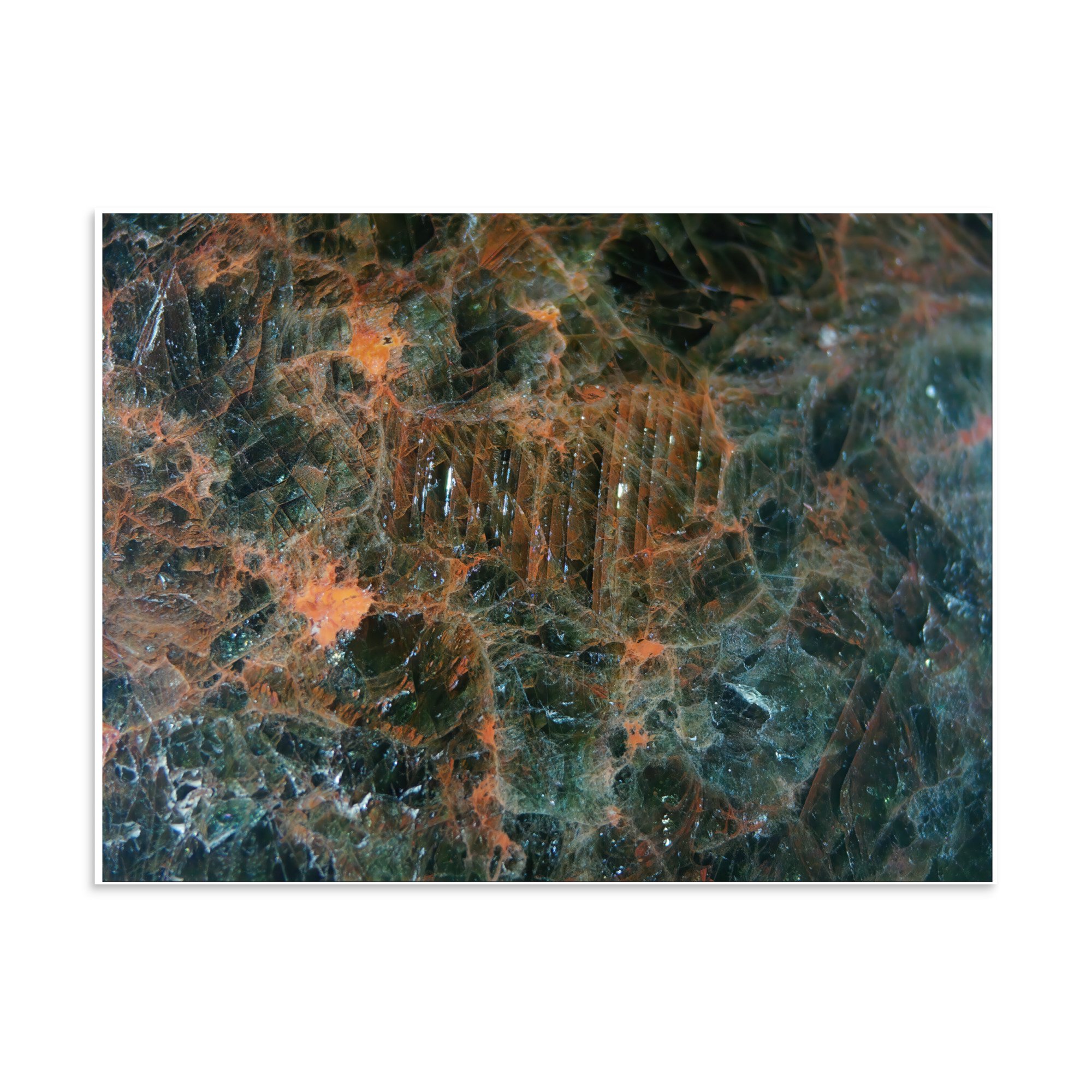 enhanced-matte-paper-poster-(in)-24x32-front-6a2874e564071.jpg