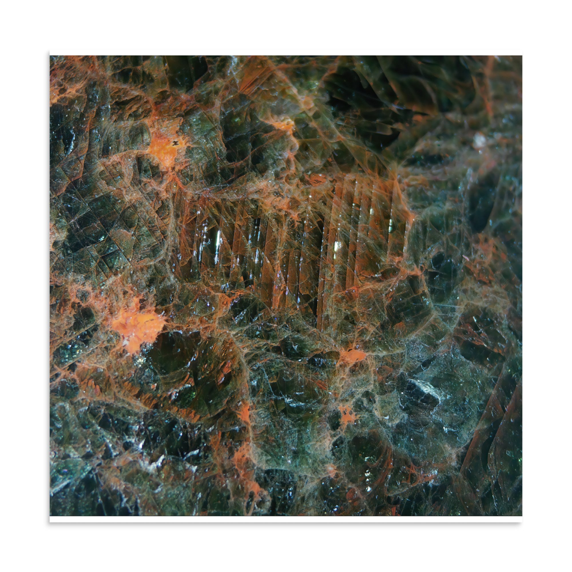 enhanced-matte-paper-poster-(in)-28x28-front-6a2874e568db4.jpg