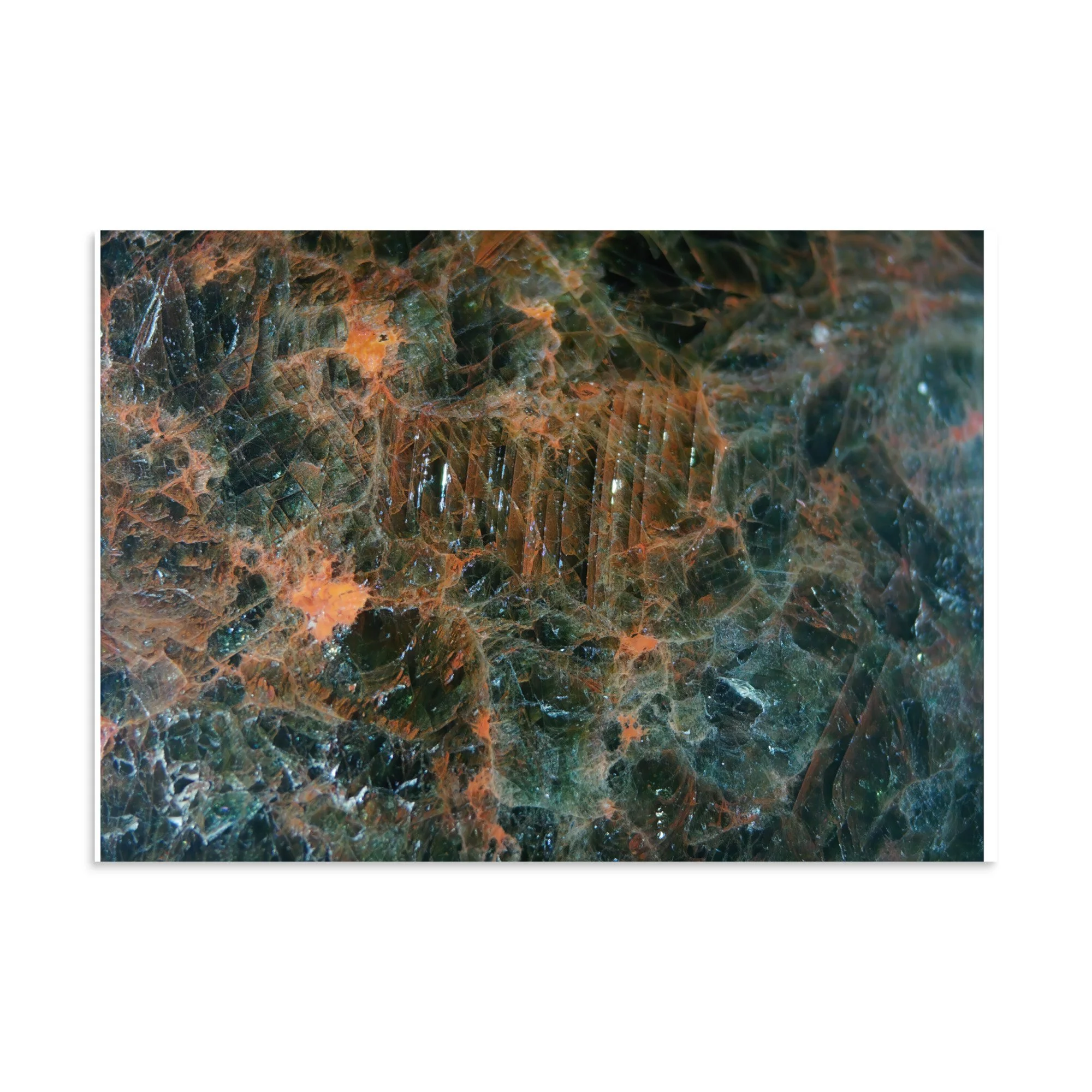 enhanced-matte-paper-poster-(in)-28x40-front-6a2874e564d7e.jpg