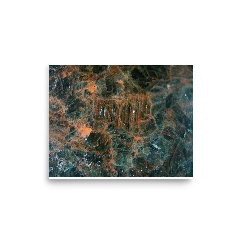 enhanced-matte-paper-poster-(in)-8x10-front-6a2874e555021.jpg