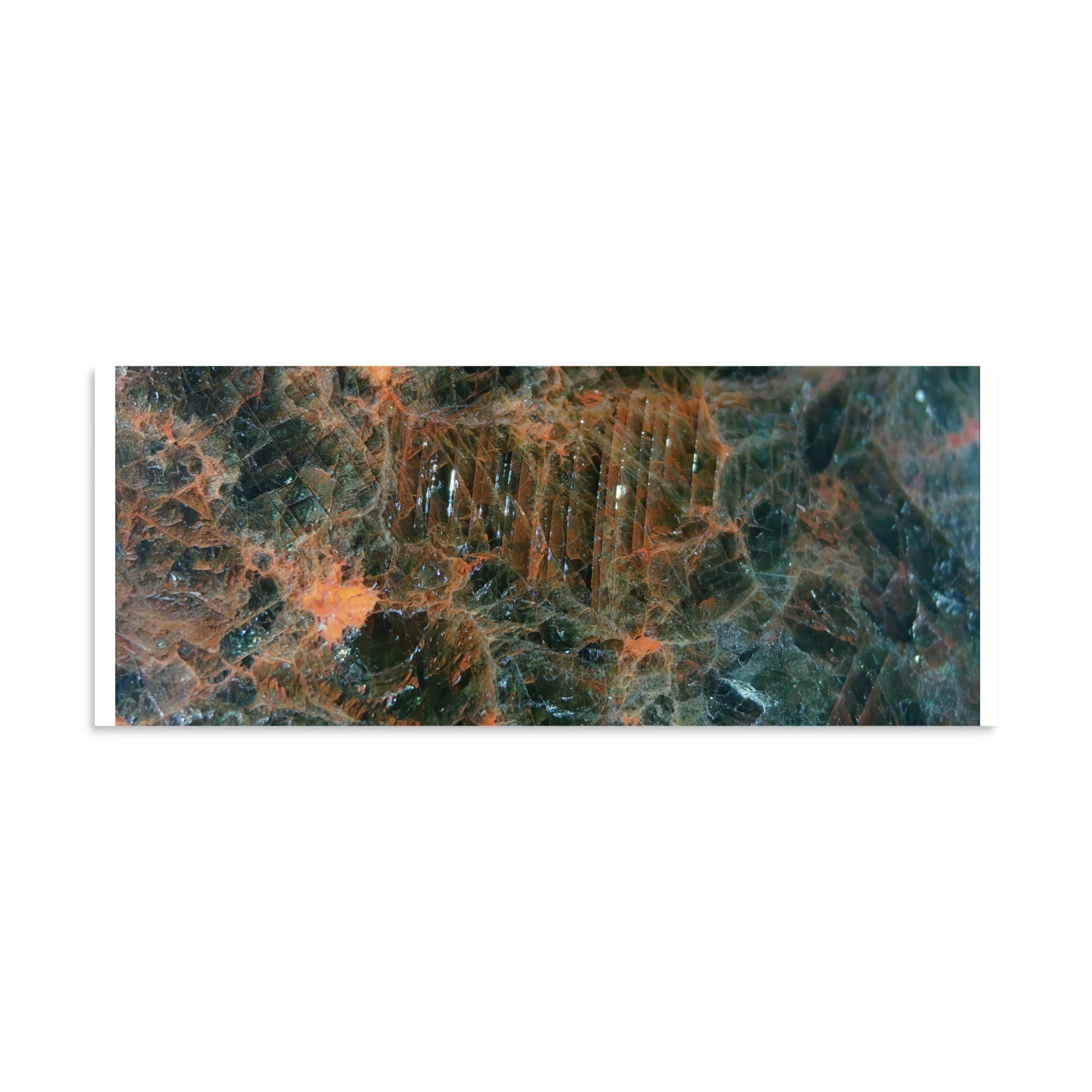 enhanced-matte-paper-poster-(in)-8x20-front-6a2874e55f1c1.jpg