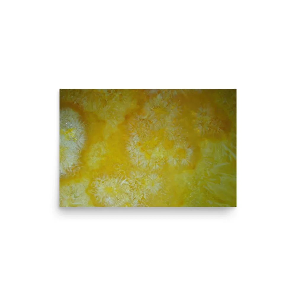 premium-luster-photo-paper-poster-(in)-12x18-front-6a38a57e5929e.jpg
