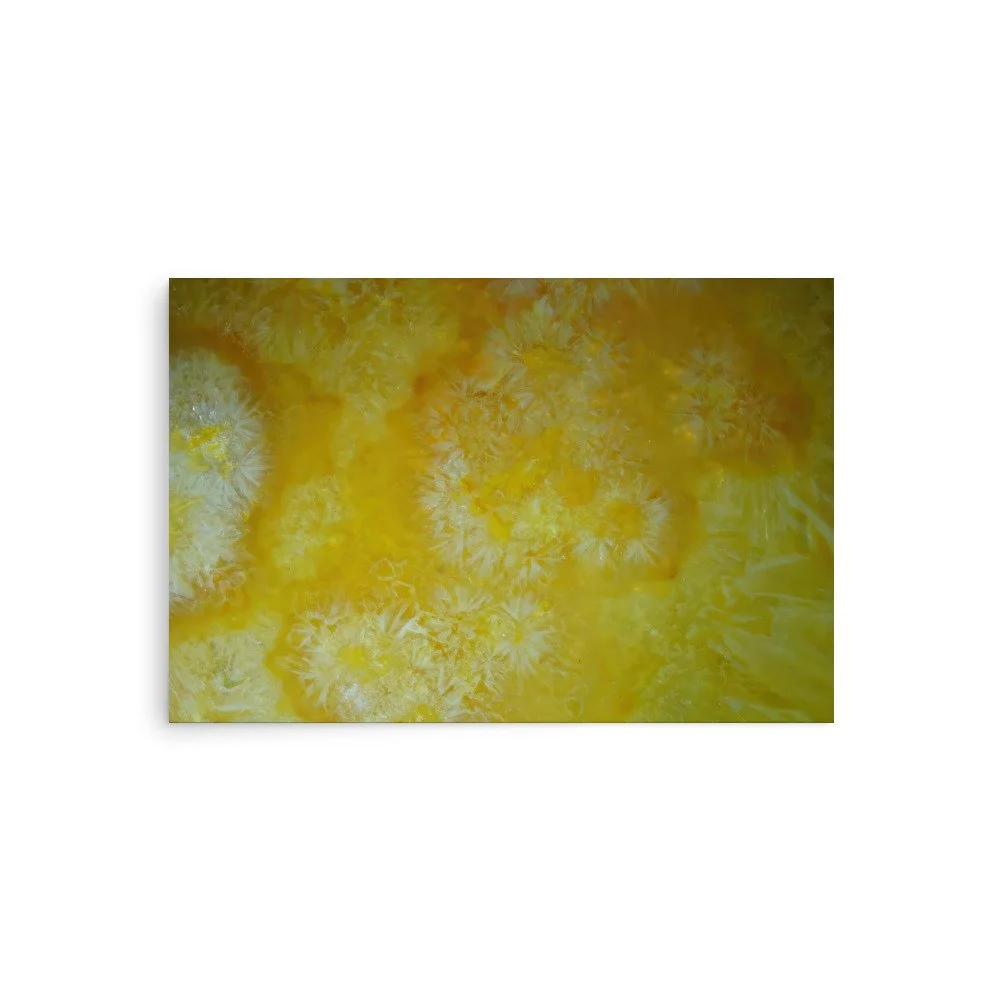 premium-luster-photo-paper-poster-(in)-20x30-front-6a38a57e59d19.jpg
