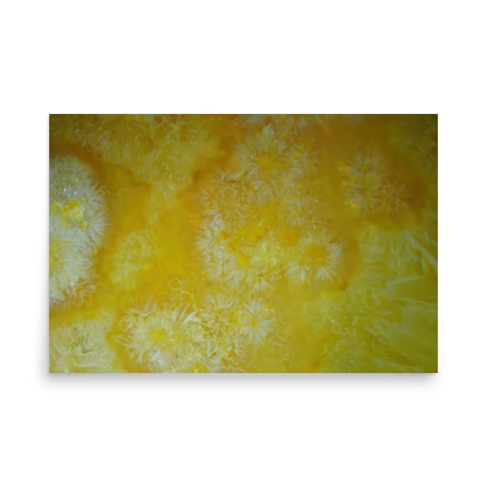 premium-luster-photo-paper-poster-(in)-24x36-front-6a38a57e59ddf.jpg