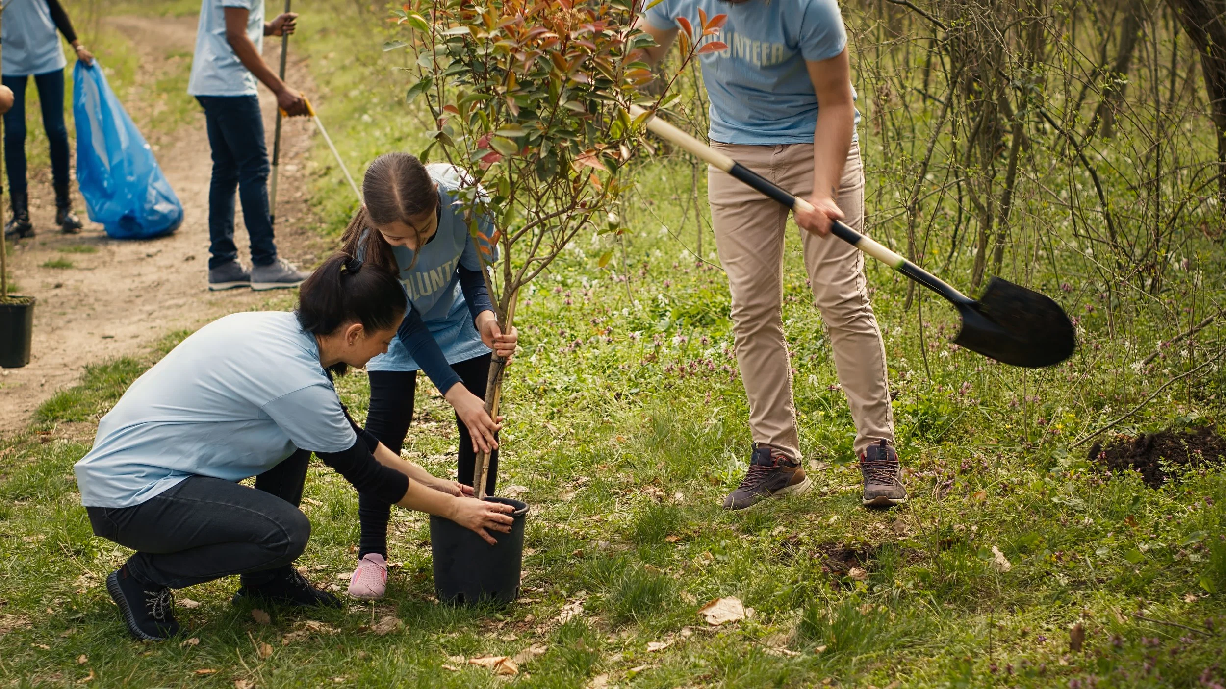 Community volunteers plant a tree together
